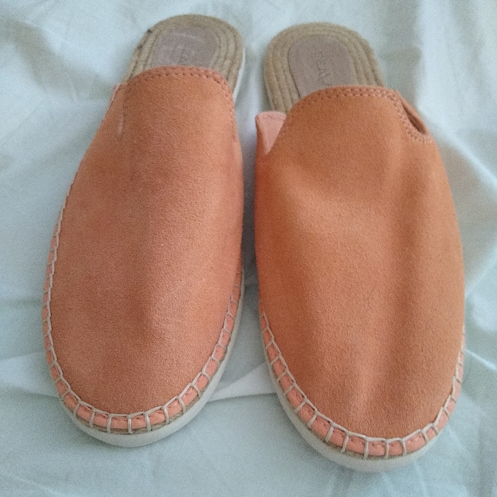 SeaVess Mules!